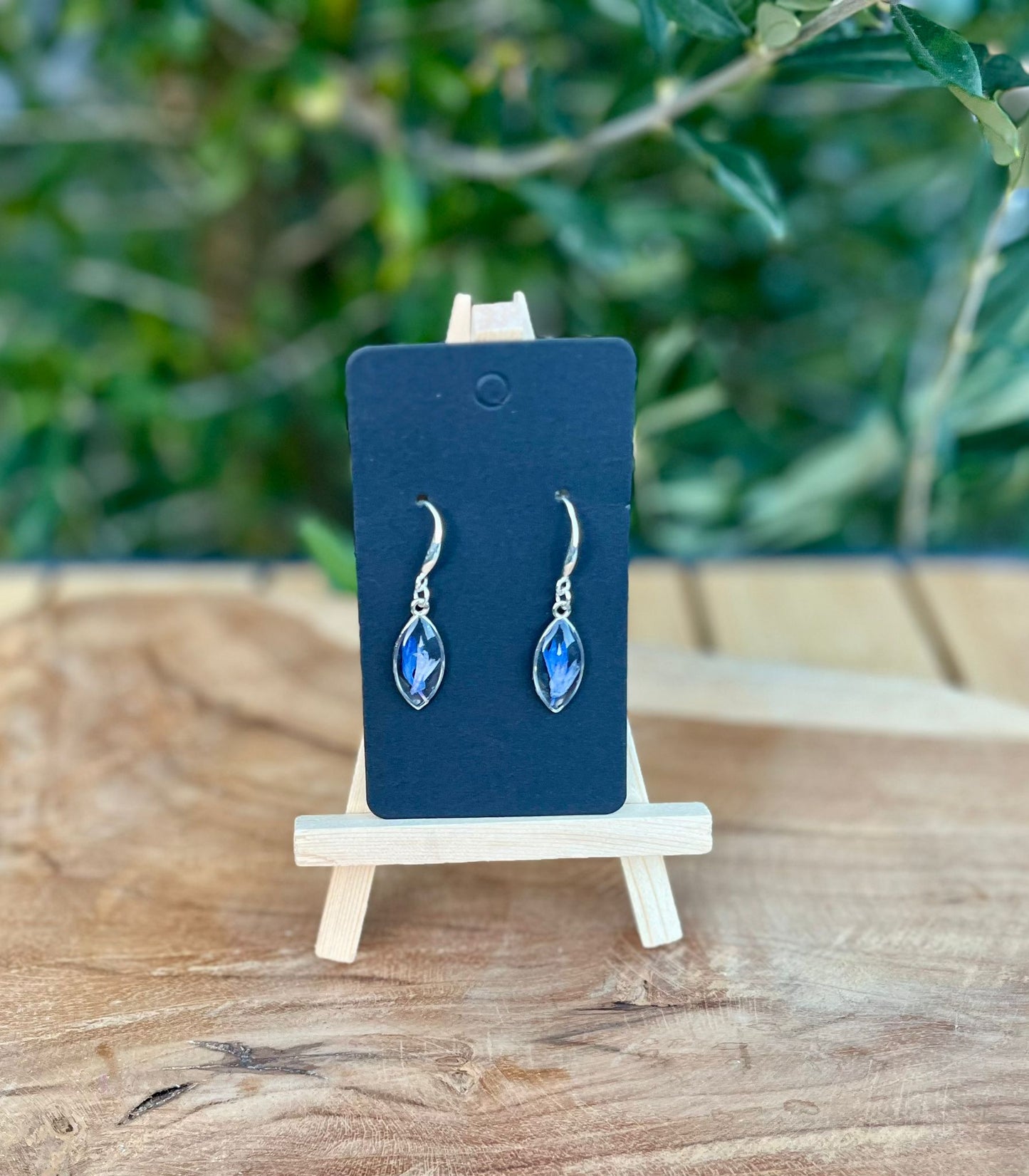 Handgemaakte zilveren oorbellen met echte gedroogde korenbloem, gegoten in UV resin. Licht en tijdloos design van Nova by Evi.