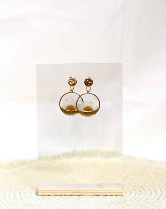 Suzanne: 🌼 Oorbellen met Margriet in Resin – Natuurlijke Schoonheid in Messingkleur